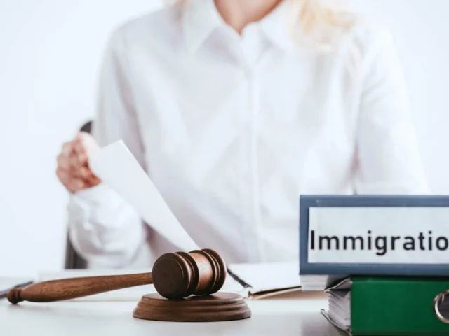 Immigration Lawyers