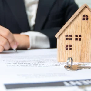 Solicitor or Conveyancer