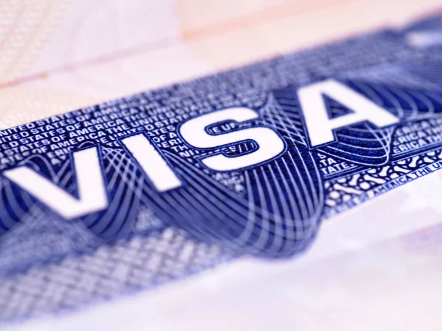Skills in Demand Visa