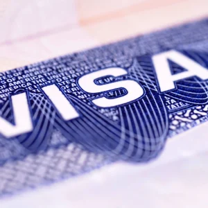 Skills in Demand Visa