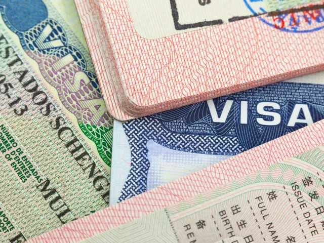 Employer-Sponsored Visas