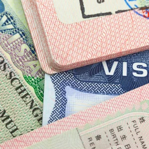 Employer-Sponsored Visas